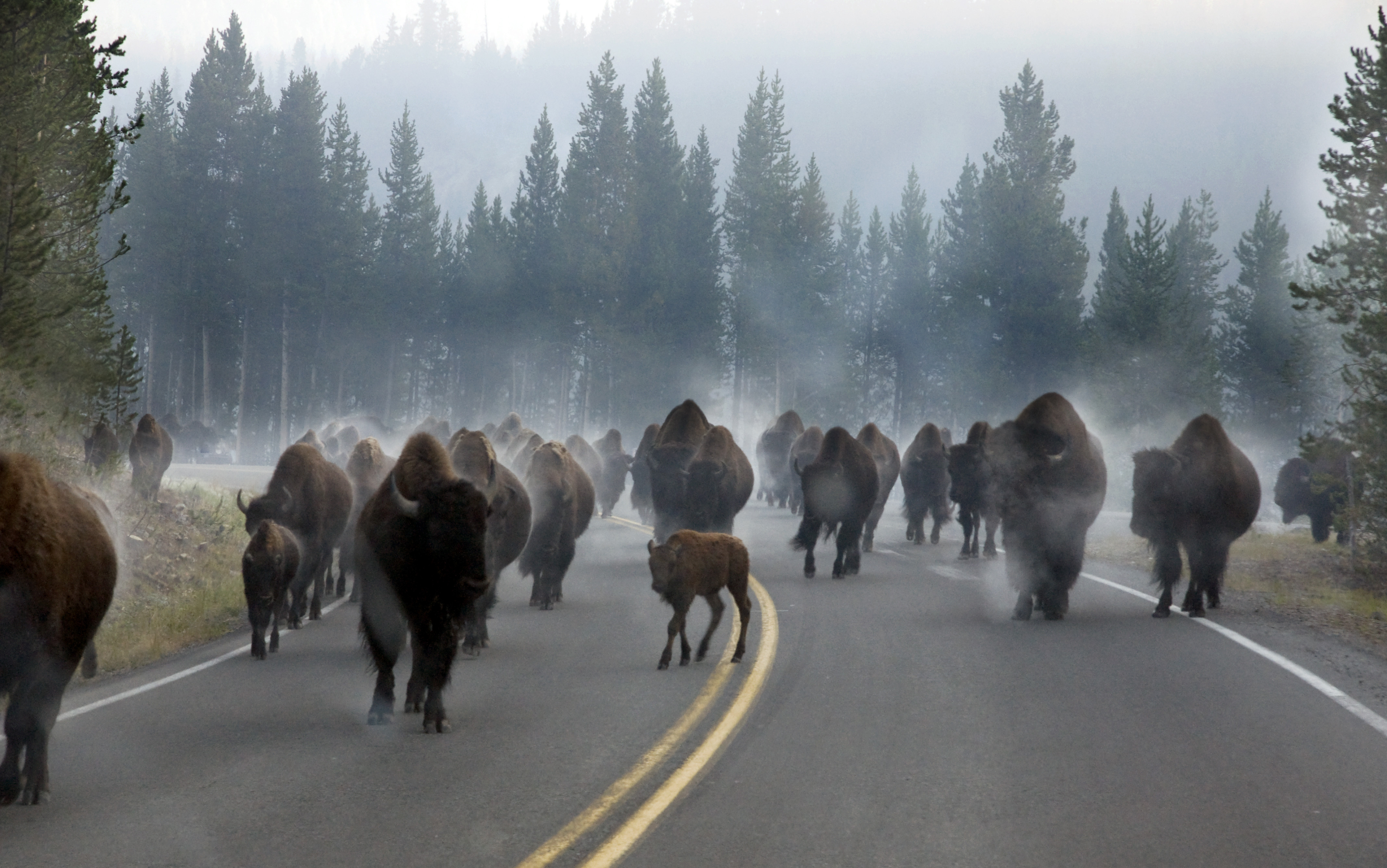 3 Things Yellowstone National Park Taught Me About Cheap ...