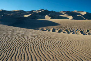 Dunes 6